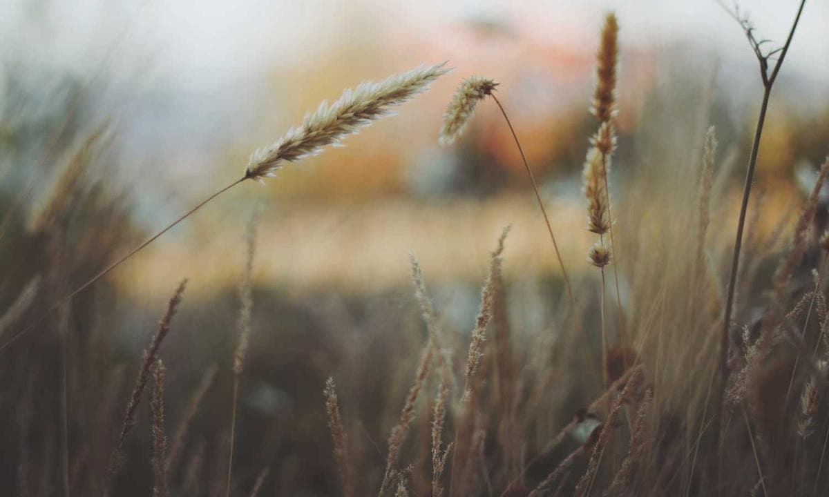 Unboxing the Unboxable