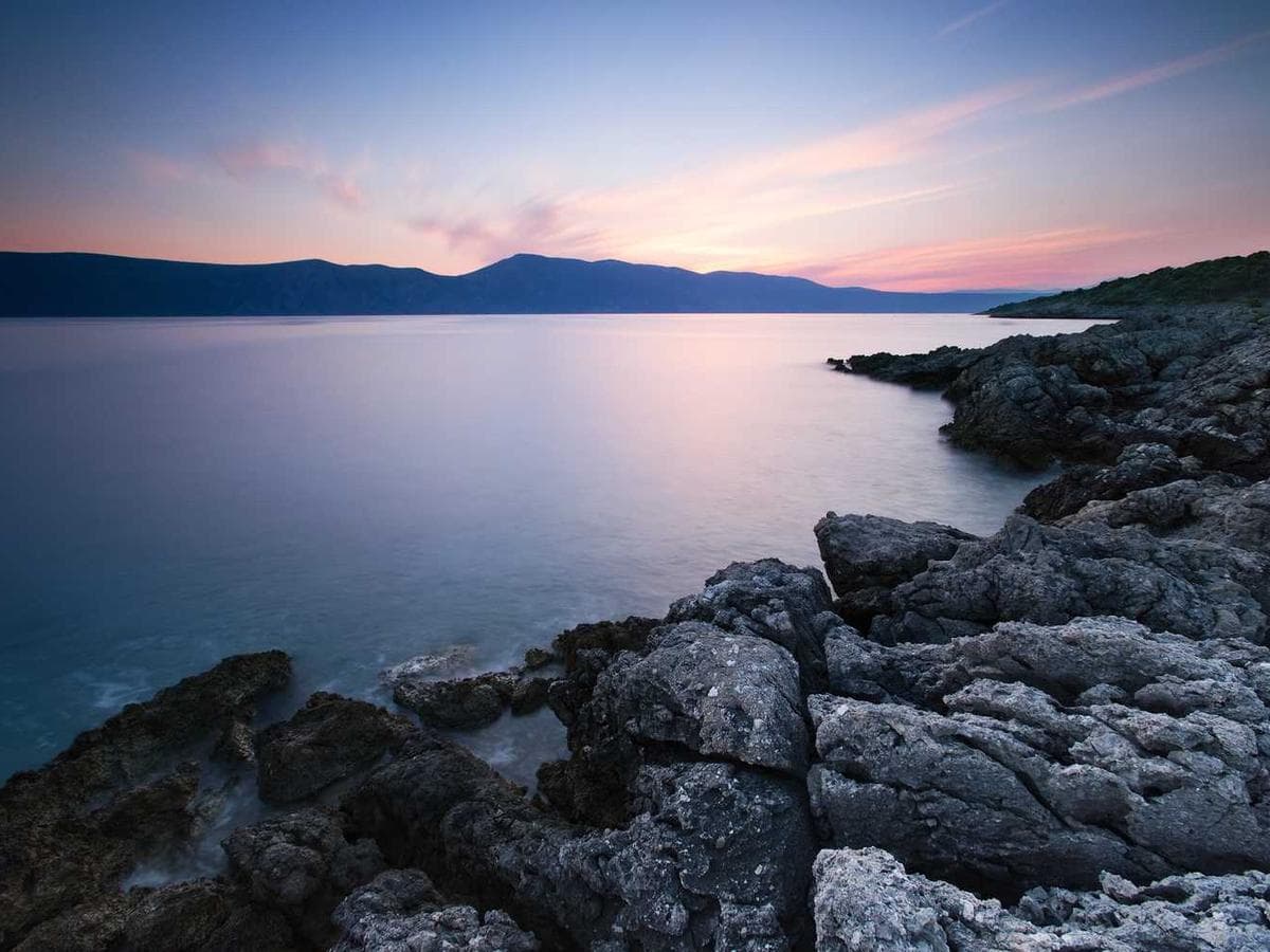 Couch Cleansing Service