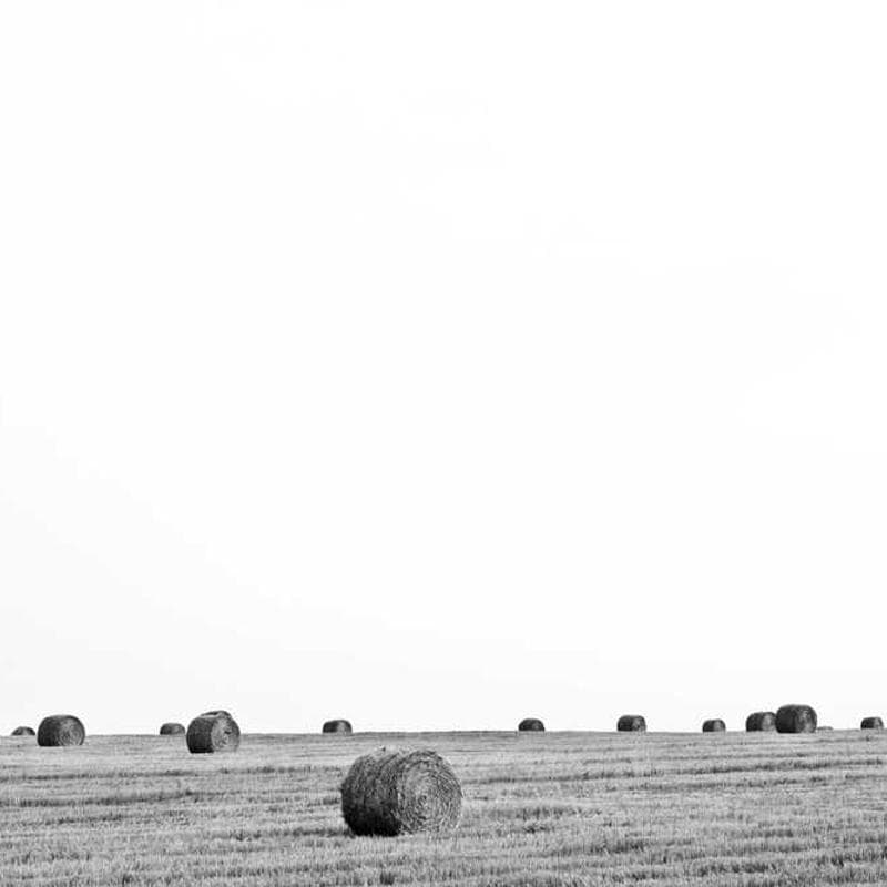 Patience (Family Size)