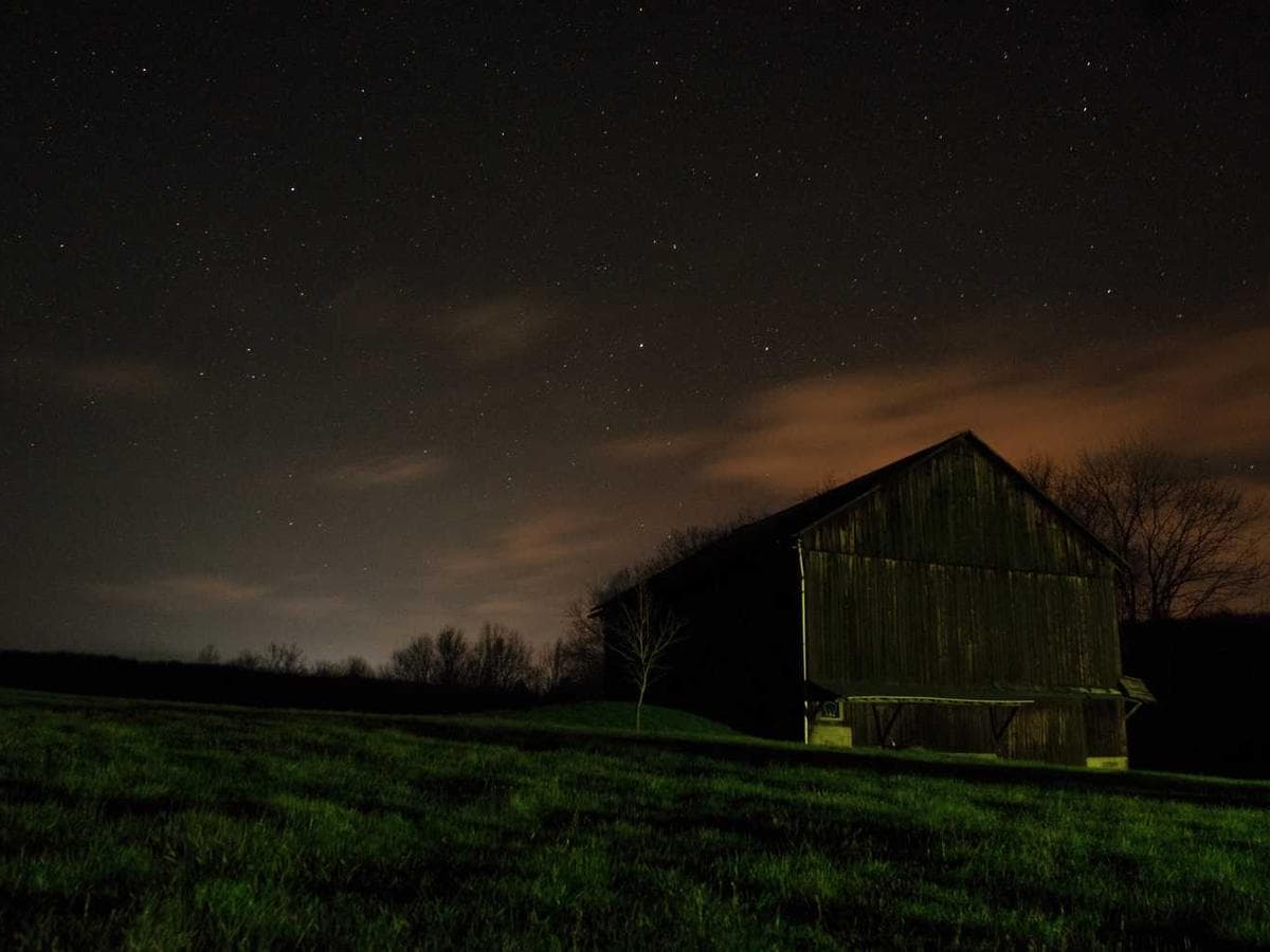 Unread Books (Collector’s Guilt Edition)